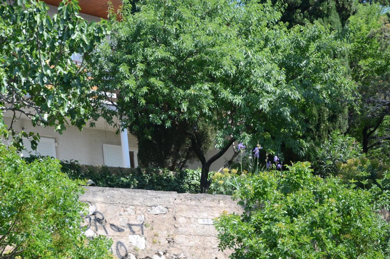 Corina & Franco Daire Senj  Dış mekan fotoğraf